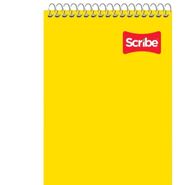 BLOCK TAQUIGRAFIA SCRIBE 5051 RAYA ESP. 100H. CORTO C.36